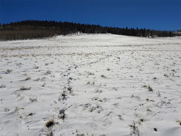 $16,000 | 0 Jicarilla Trail, Hartsel, CO 80449