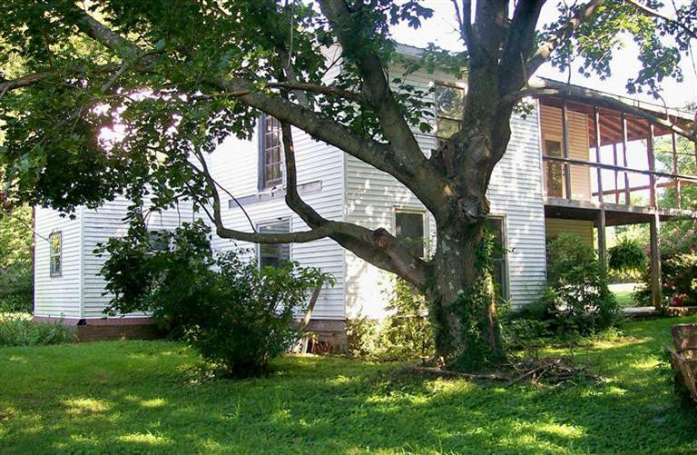 1597 North Cleveland Road Lexington, KY 40509 - Photo 6 of 48 Enjoy mature shade trees and filtered su