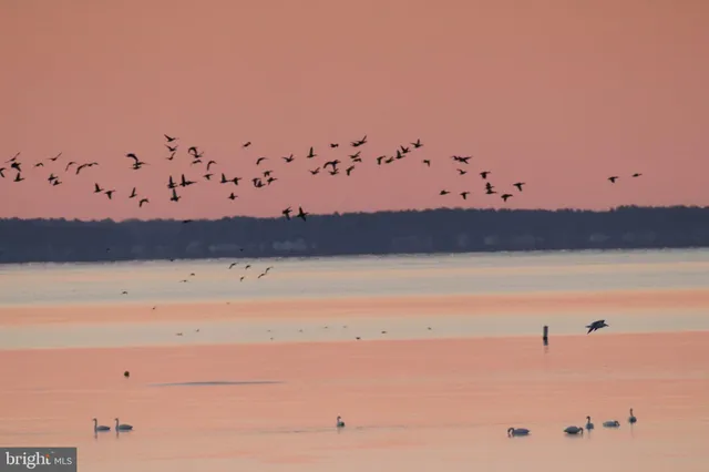 $1,150,000 | 22860 Middle Point Road, Neavitt, MD 21652