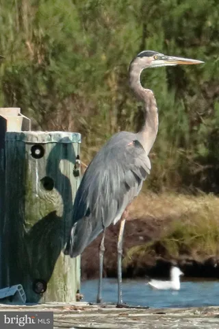 $1,150,000 | 22860 Middle Point Road, Neavitt, MD 21652