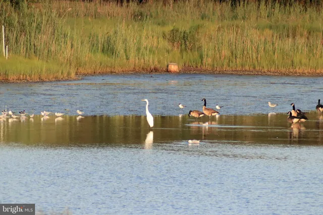 $1,150,000 | 22860 Middle Point Road, Neavitt, MD 21652