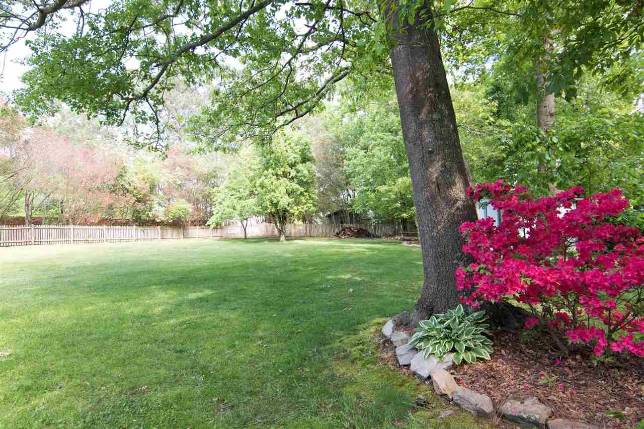 5941 Hampton Ridge Road Raleigh, NC 27603 - Photo 24 of 29 Backyard
