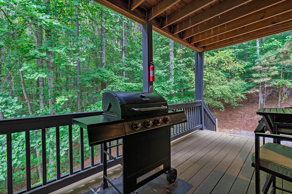 55 Ridge Top Drive Ellijay, GA 30536 - Photo 32 of 76