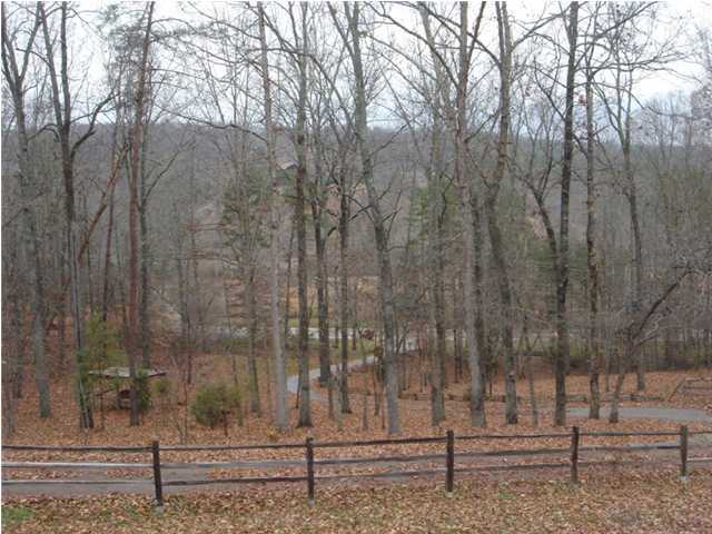 10804 East Brainerd Road Apison, TN 37302 - Photo 8 of 9 Additional Photo