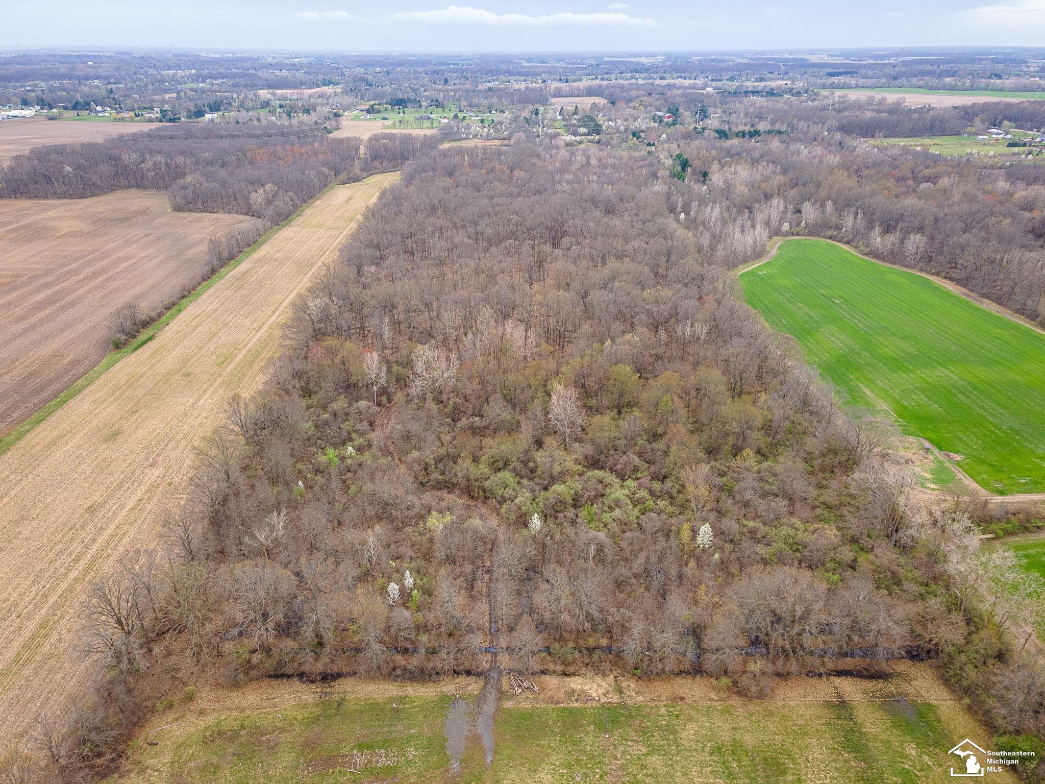 3455 West Albain Road Monroe, MI 48161 - Photo 64 of 78