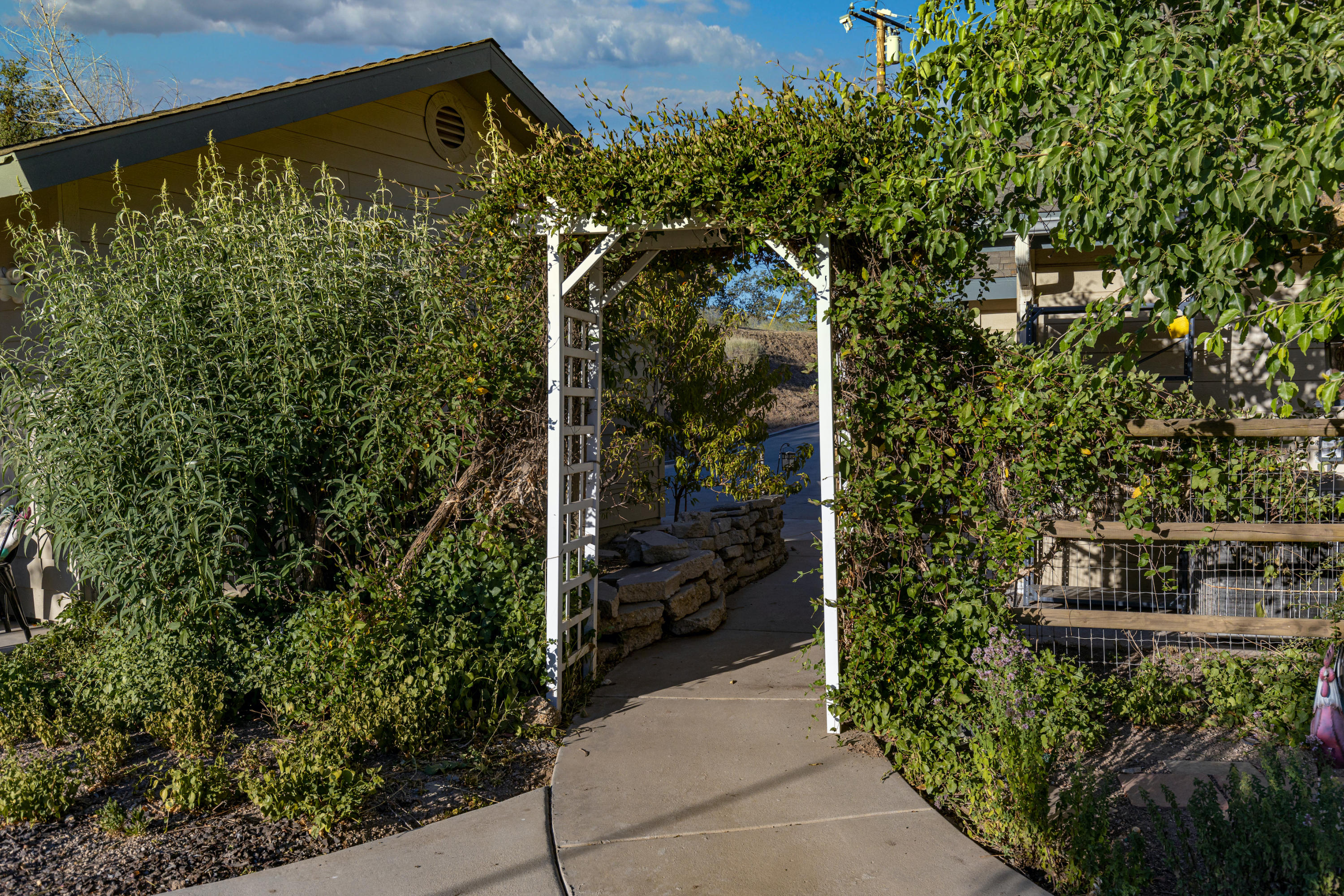 23751 Timberline Way Tehachapi, CA 93561 - Photo 39 of 52 A56A1867