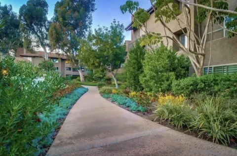 a view of a garden with pathway