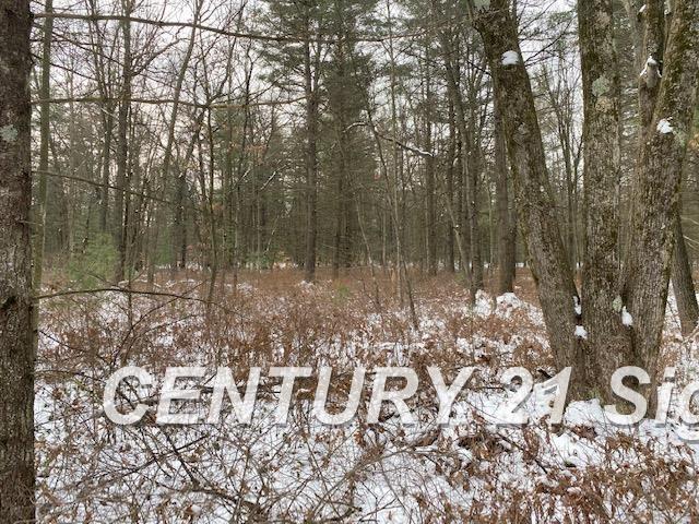 0 West Wackerly Road Sanford, MI 48657 - Photo 11 of 19