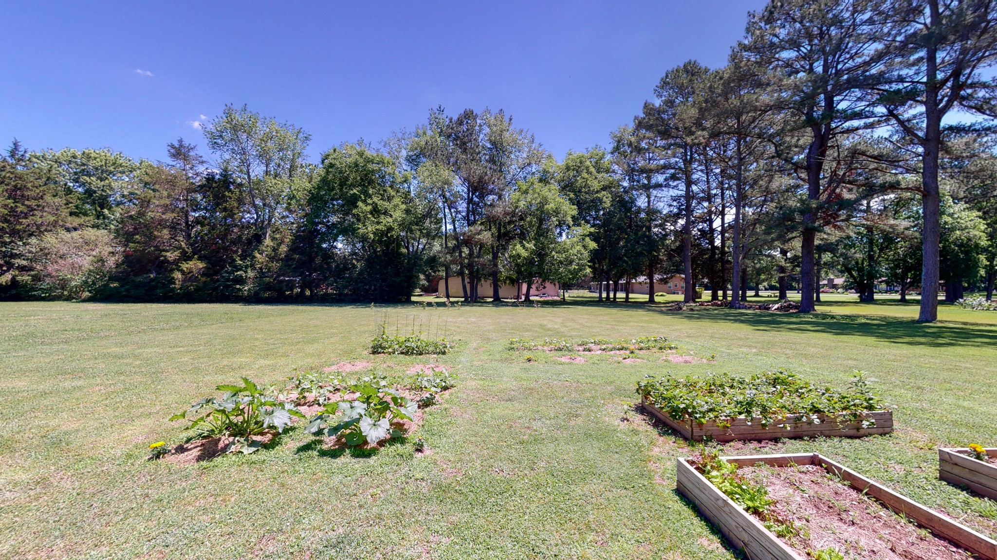 706 Lillard Road Murfreesboro, TN 37130 - Photo 53 of 63 Gallery Image 53