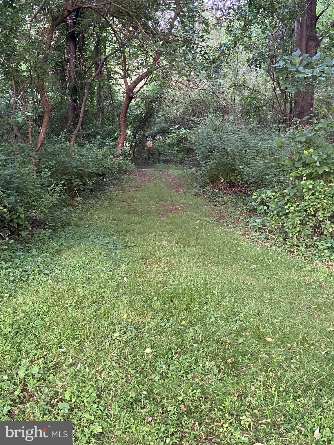 7763 Overbrook Drive Catlett, VA 20119 - Photo 101 of 103