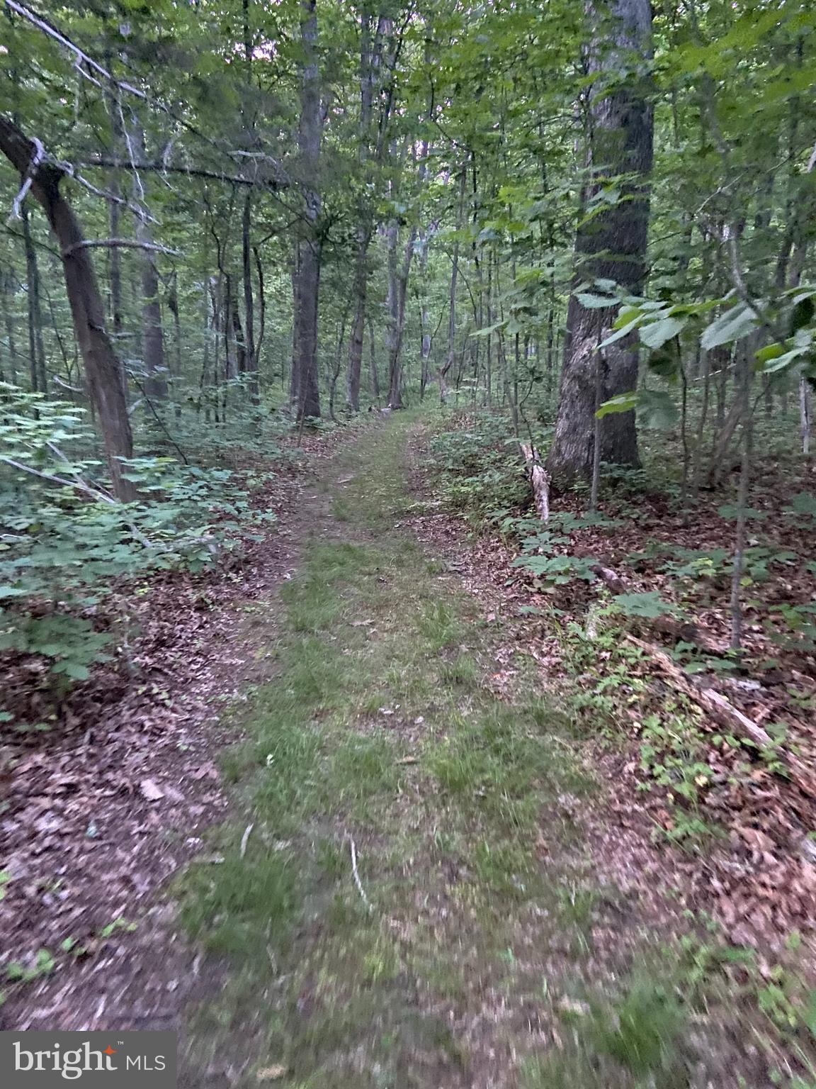 7763 Overbrook Drive Catlett, VA 20119 - Photo 102 of 103