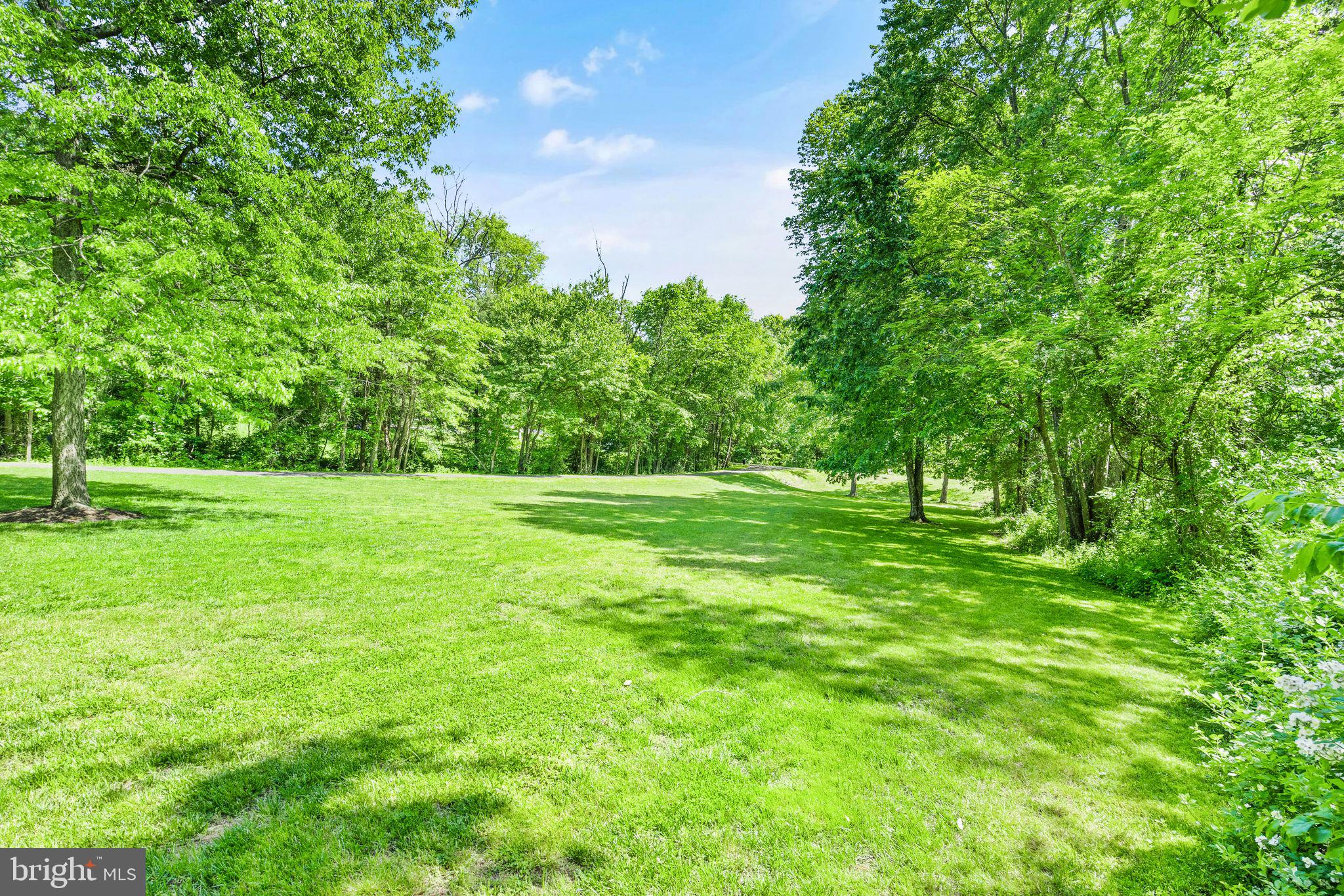 7763 Overbrook Drive Catlett, VA 20119 - Photo 14 of 103