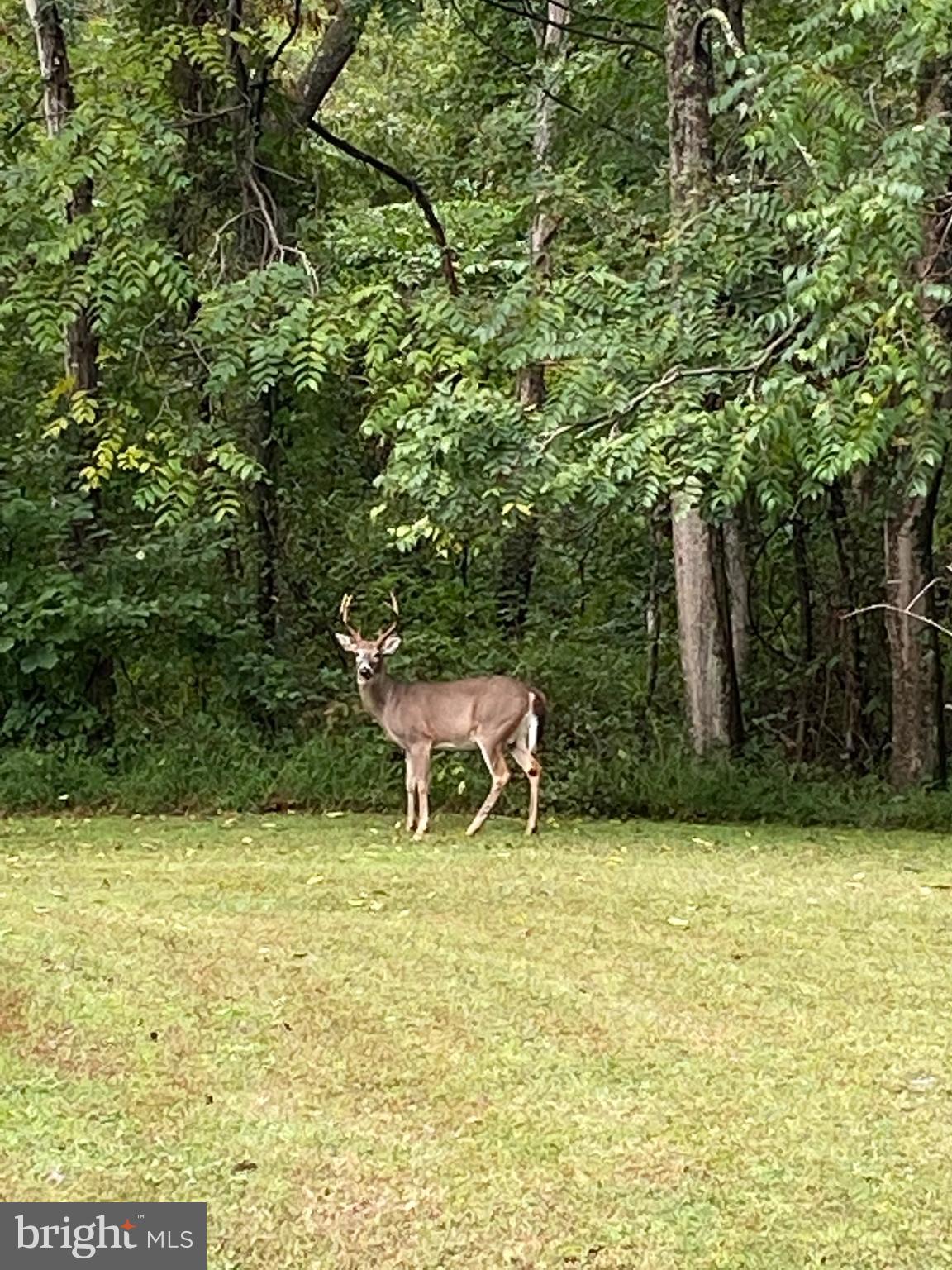 7763 Overbrook Drive Catlett, VA 20119 - Photo 18 of 103