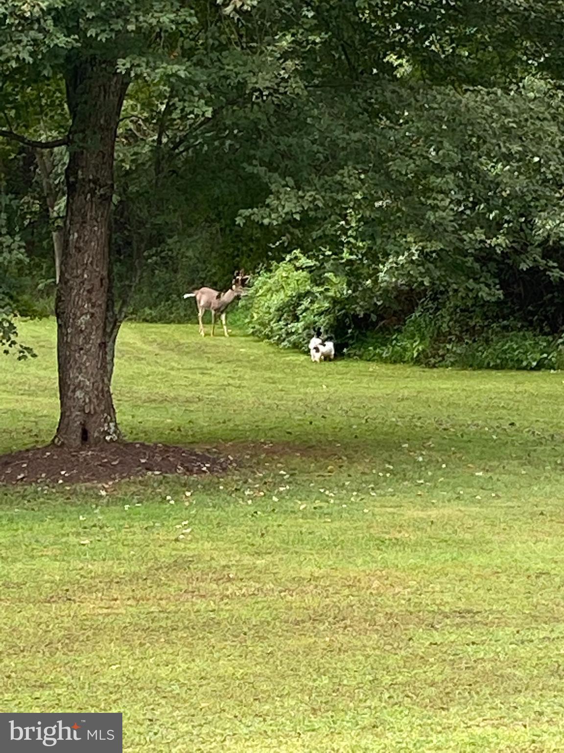 7763 Overbrook Drive Catlett, VA 20119 - Photo 19 of 103