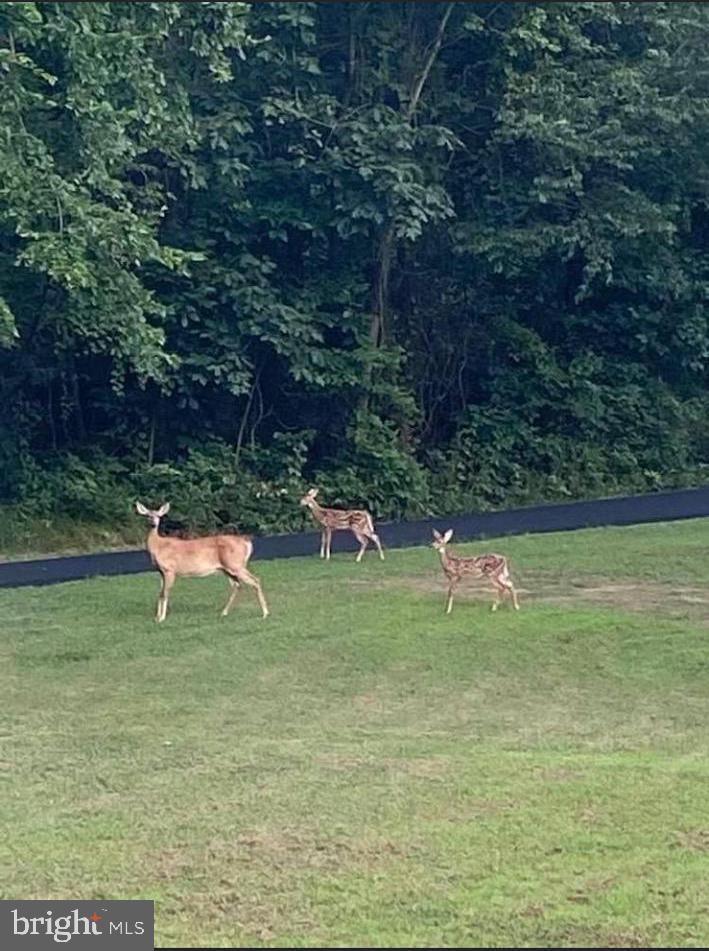 7763 Overbrook Drive Catlett, VA 20119 - Photo 20 of 103