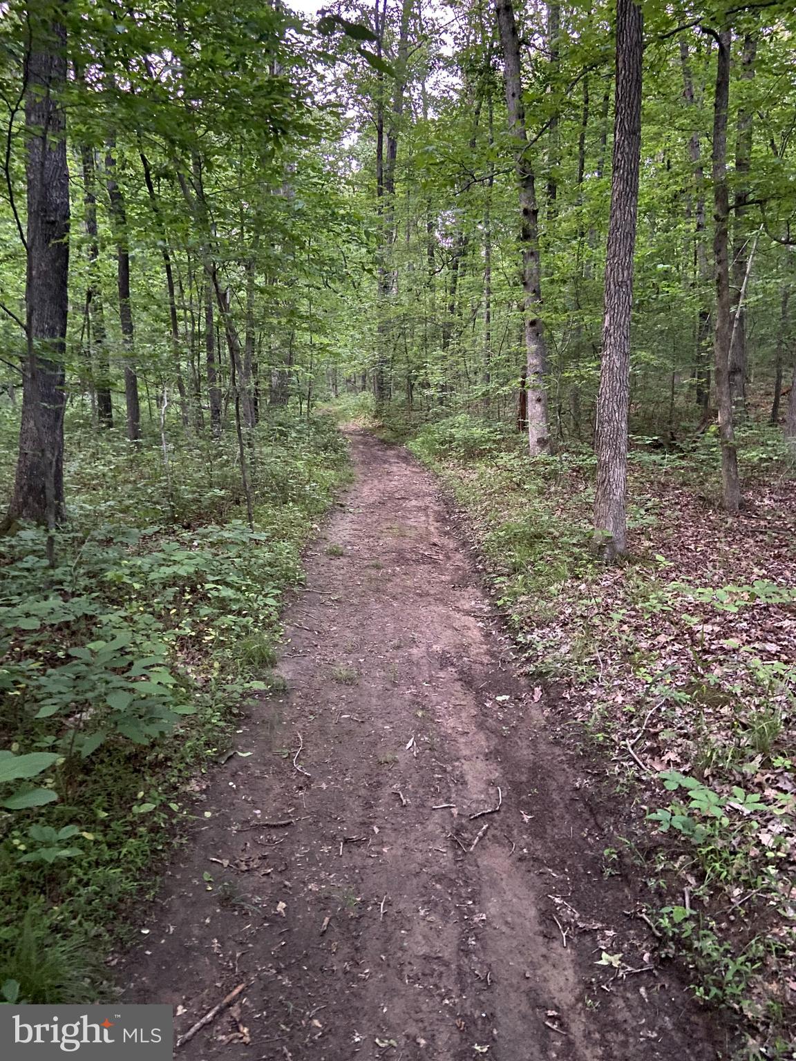 7763 Overbrook Drive Catlett, VA 20119 - Photo 98 of 103