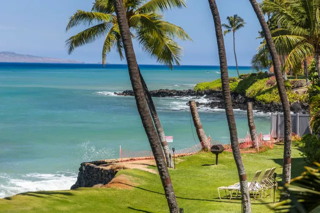 a view of an outdoor space and trees