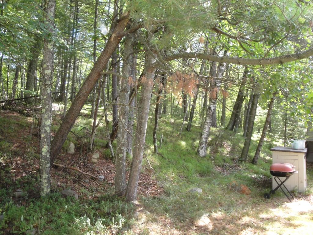 4195 Trails End Road Rhinelander, WI 54501 - Photo 21 of 27 Gallery Image 21