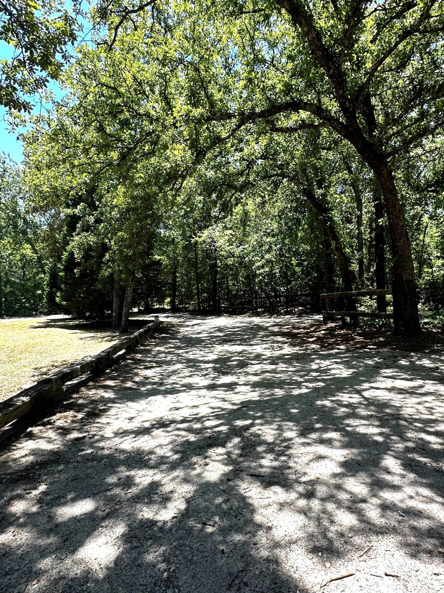 224 Cotton Branch Road Leesville, SC 29070 - Photo 16 of 52