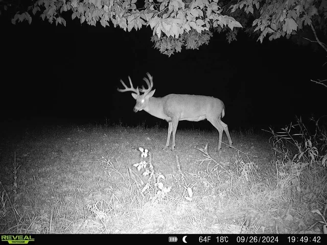 $1,475,000 | 16195 # 1 Coy, Viola, WI 54664