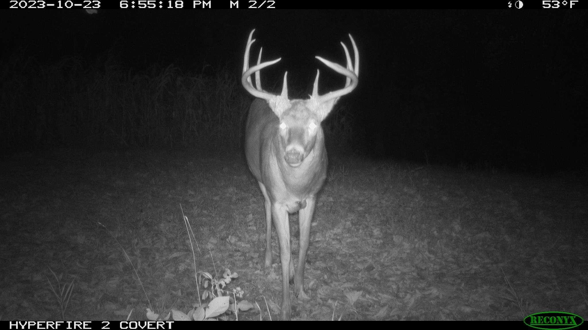 16195 # 1 Coy Viola, WI 54664 - Photo 12 of 68