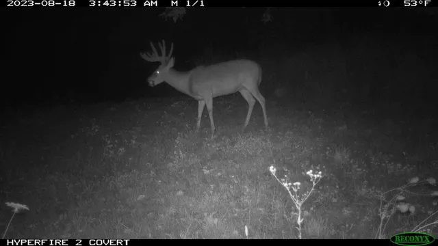 $1,475,000 | 16195 # 1 Coy, Viola, WI 54664