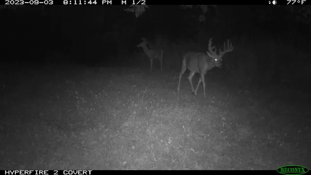 $1,475,000 | 16195 # 1 Coy, Viola, WI 54664