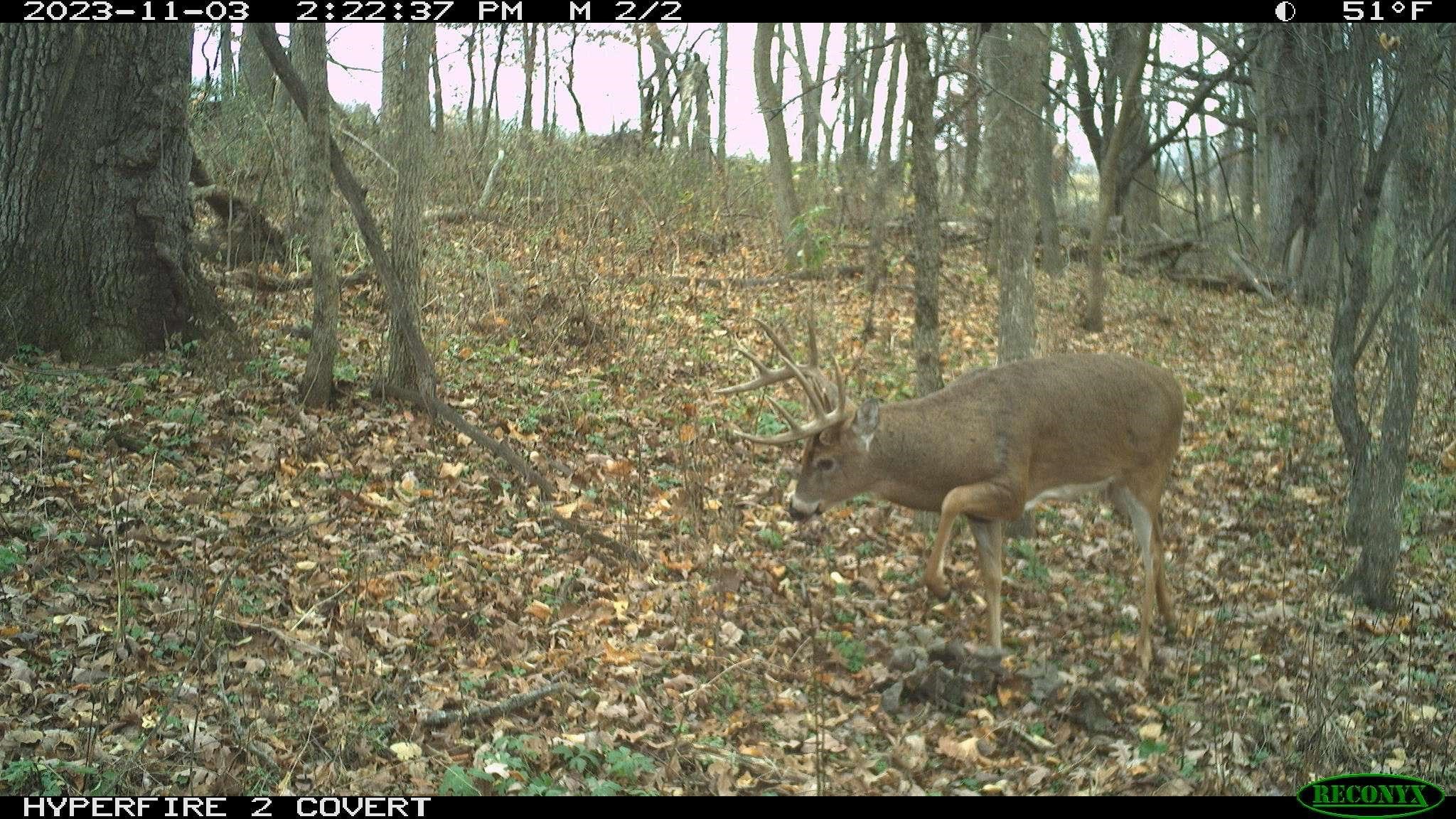 16195 # 1 Coy Viola, WI 54664 - Photo 17 of 68