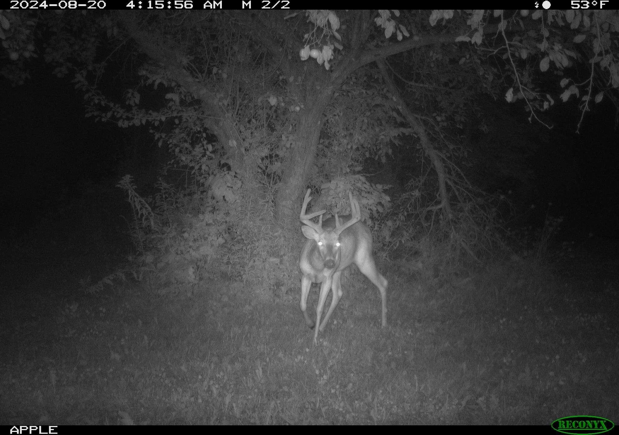 16195 # 1 Coy Viola, WI 54664 - Photo 19 of 68