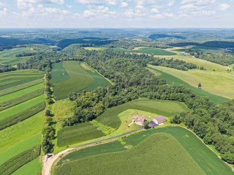 16195 # 1 Coy Viola, WI 54664 - Photo 8 of 68