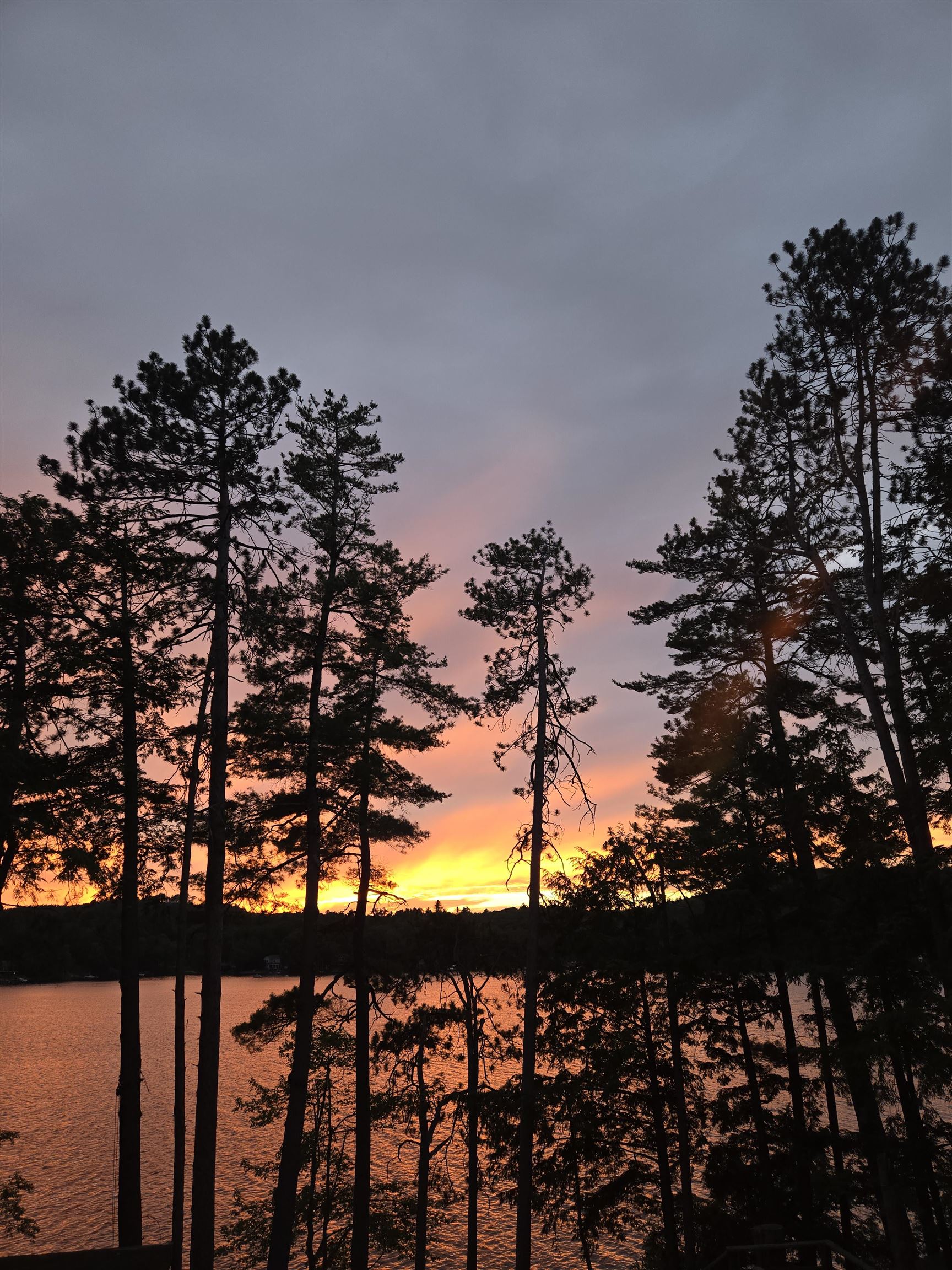 11 Quimby Road Meredith, NH 03253 - Photo 59 of 60