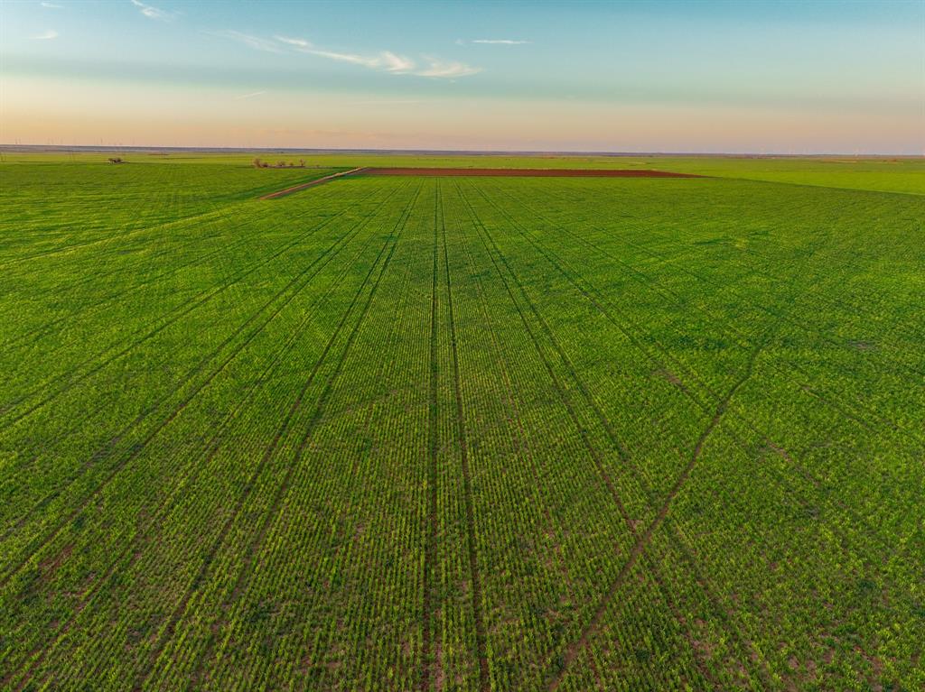 159 Co Road Munday, TX 76371 - Photo 11 of 31 a view of an ocean from a yard