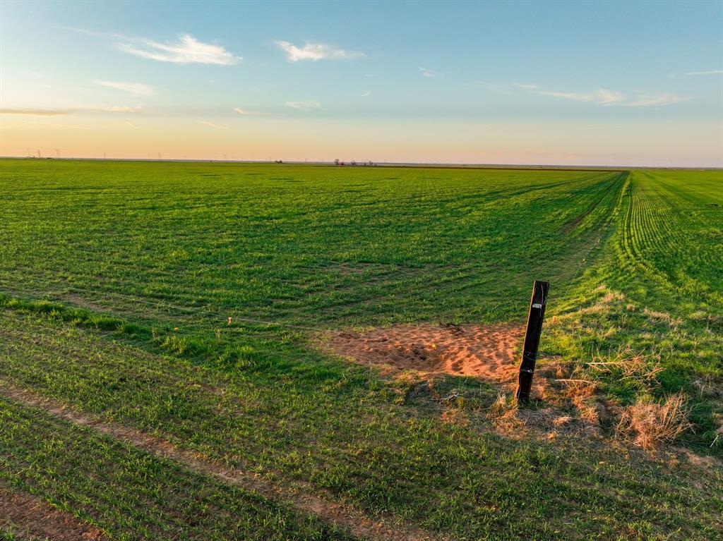 159 Co Road Munday, TX 76371 - Photo 12 of 31 a view of a field with an ocean