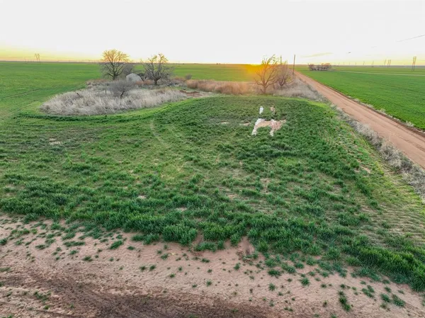a view of a field with an trees
