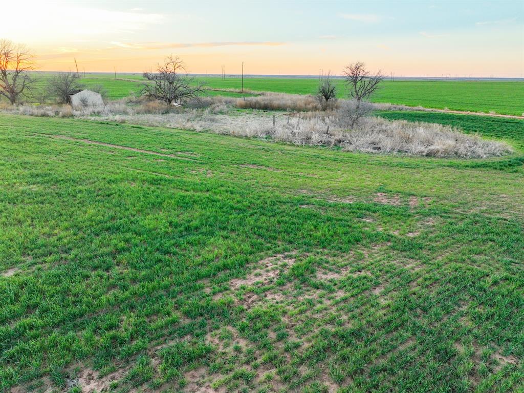 159 Co Road Munday, TX 76371 - Photo 14 of 31 a view of a field with an trees
