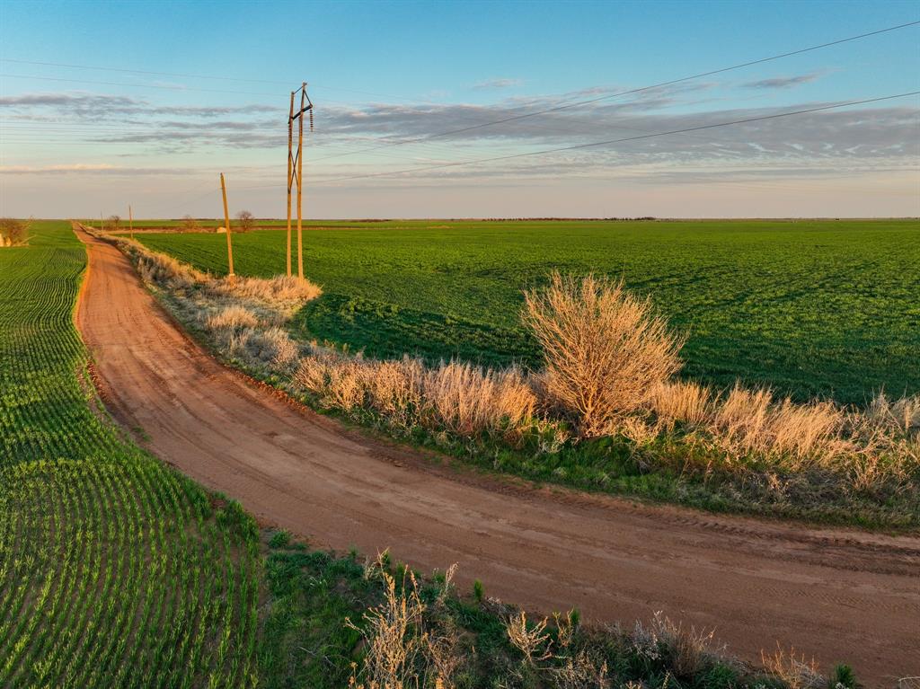 159 Co Road Munday, TX 76371 - Photo 19 of 31 a view of a garden from a terrace