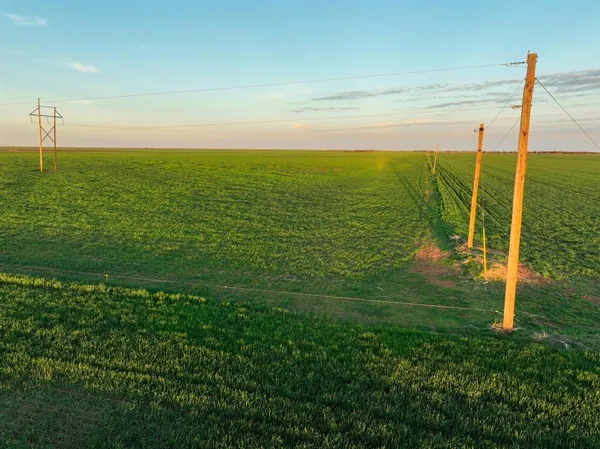 a view of a swimming pool with a yard