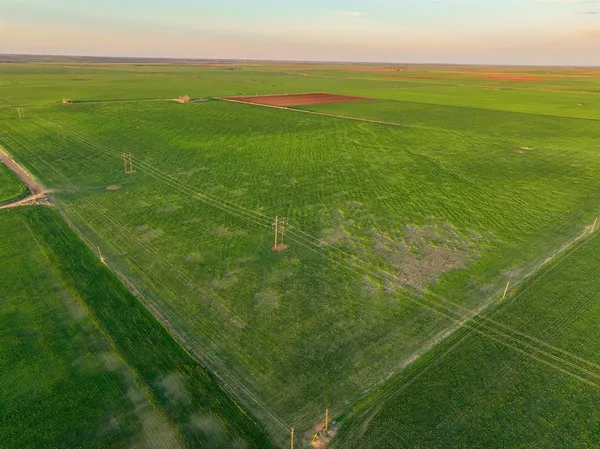 a view of a road with an ocean view