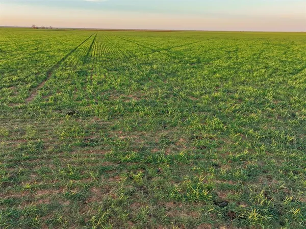 $320,000 | 159 Co Road, Munday, TX 76371