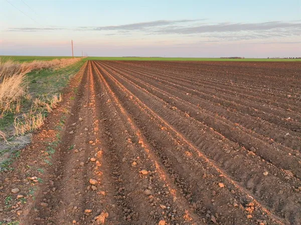 a view of a field of grass and trees