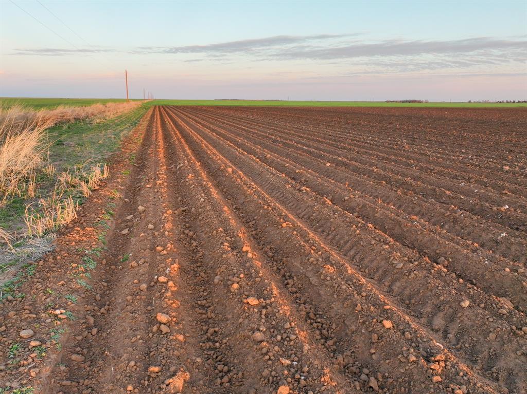159 Co Road Munday, TX 76371 - Photo 7 of 31