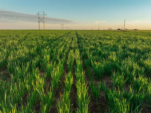 a view of an ocean from a balcony