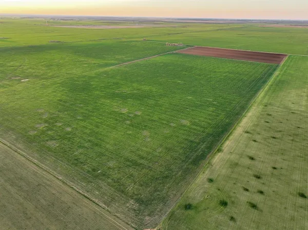 a view of an ocean from a yard
