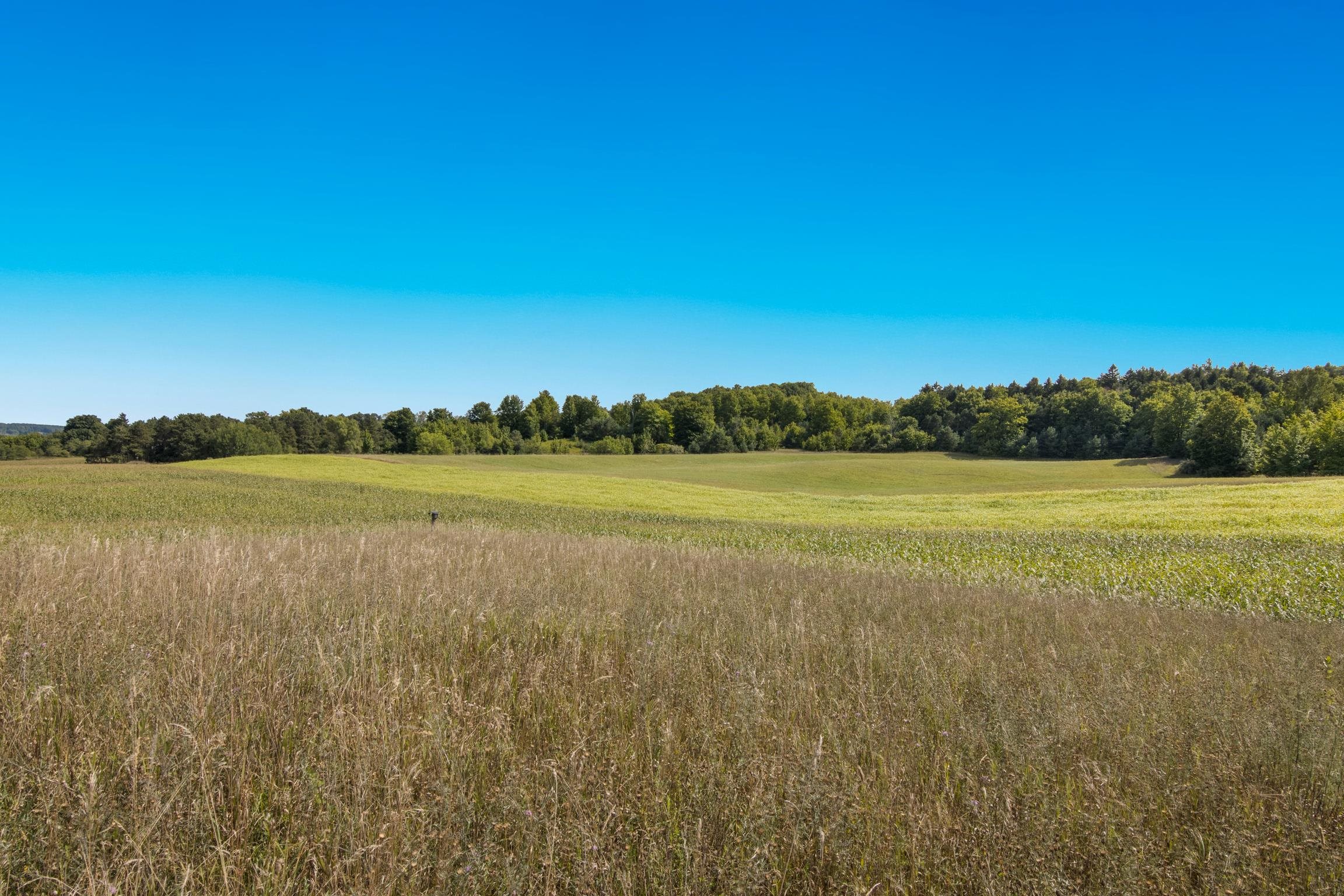 9224 East Duck Lake Road Suttons Bay, MI 49682 - Photo 18 of 63