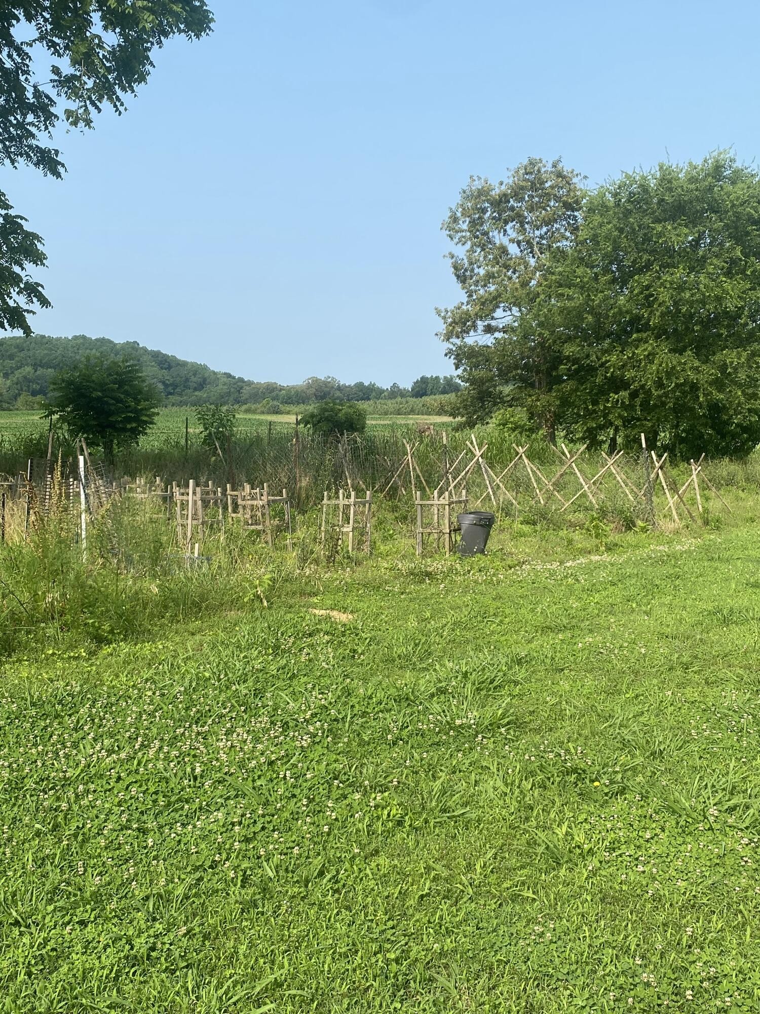 1554 Red Hill Valley Road Southeast Cleveland, TN 37323 - Photo 6 of 16 Gallery Image 6