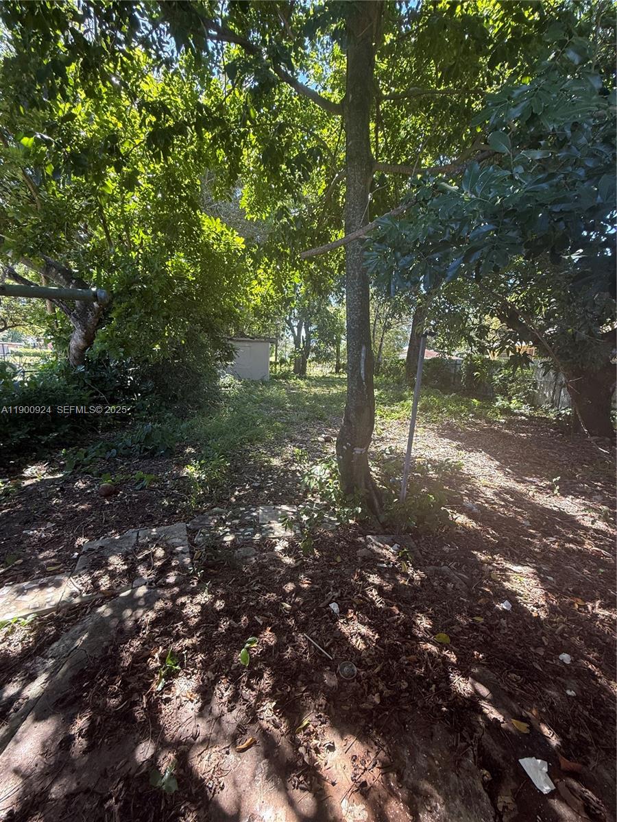 1918 Northwest 82nd Street Miami, FL 33147 - Photo 9 of 15 a view of a forest