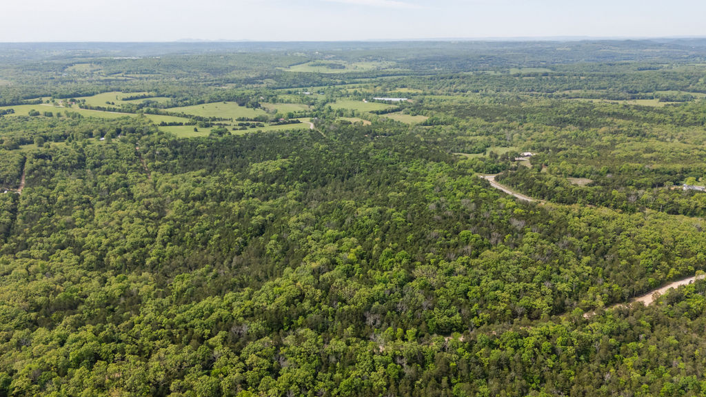 1 Horseshoe Bnd Road Lead Hill, AR 72644 - Photo 10 of 46 Expansive land parcel featuring dense mixed woodland and open grassy areas