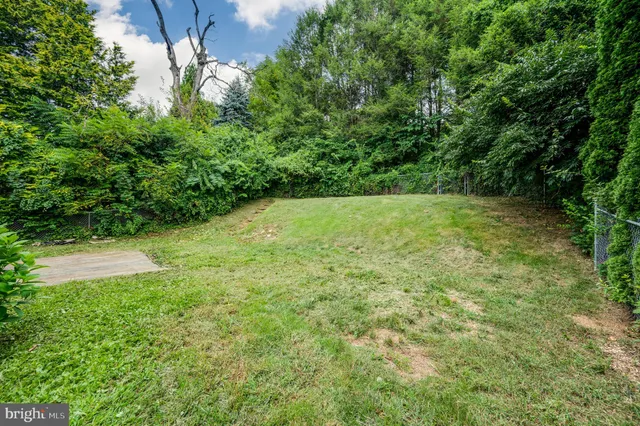 a view of yard with green space