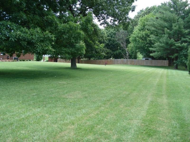 358 Blue Ridge Drive Blue Ridge, VA 24064 - Photo 19 of 22 a view of a field of grass and trees