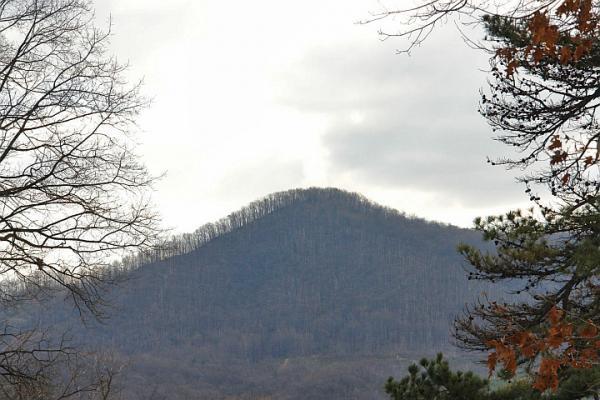 358 Blue Ridge Drive Blue Ridge, VA 24064 - Photo 21 of 22